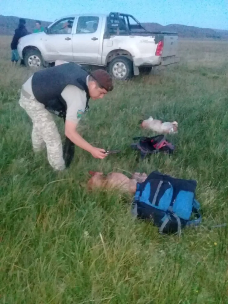 Sorprendieron a tres personas cuando intentaban robar animales de un campo