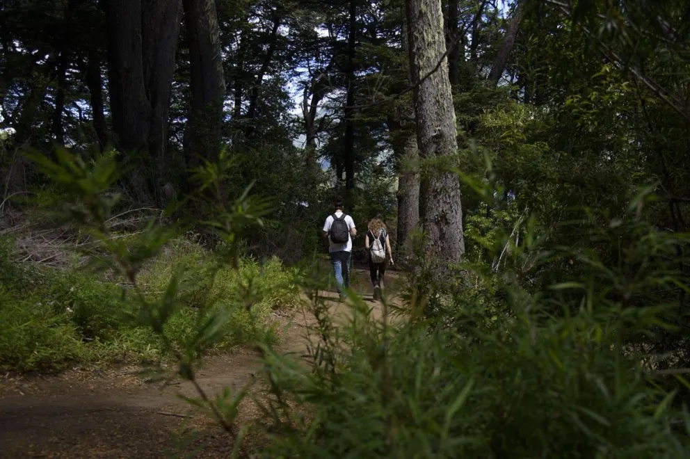 ¿A cuánto ascienden las multas por infracciones dentro del Parque Nacional?