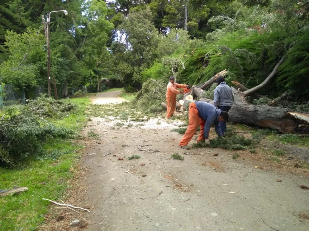 El minuto a minuto de los daños que generó el viento