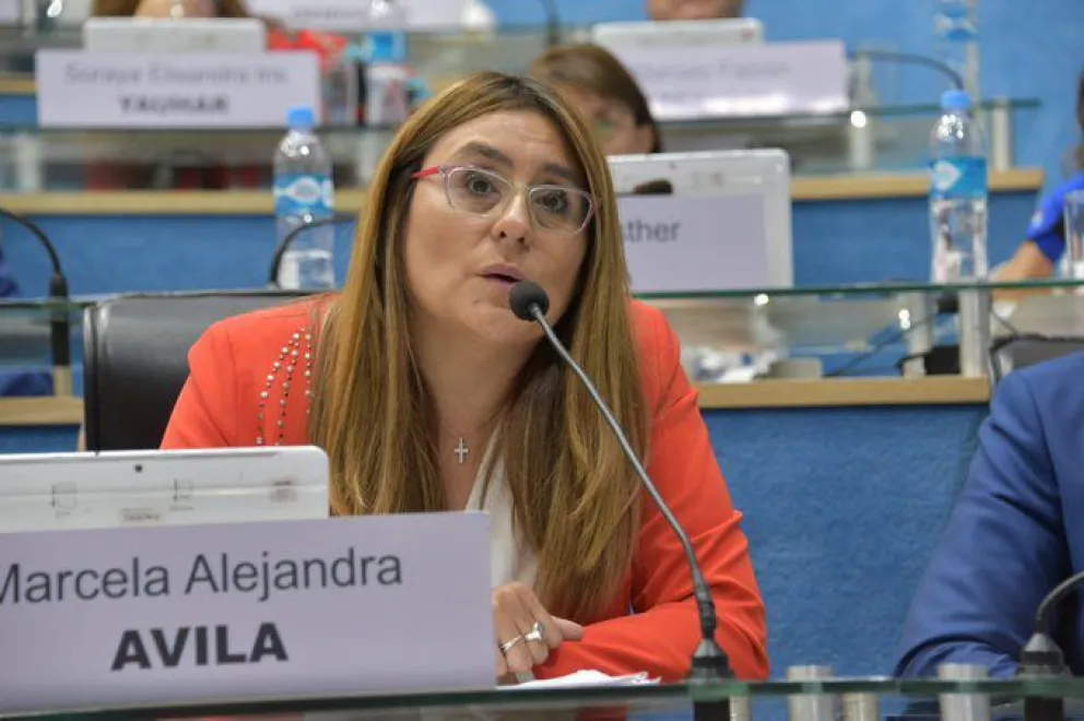 “El PJ sólo trata de rescatar algún voto más”, apuntó la legisladora Ávila