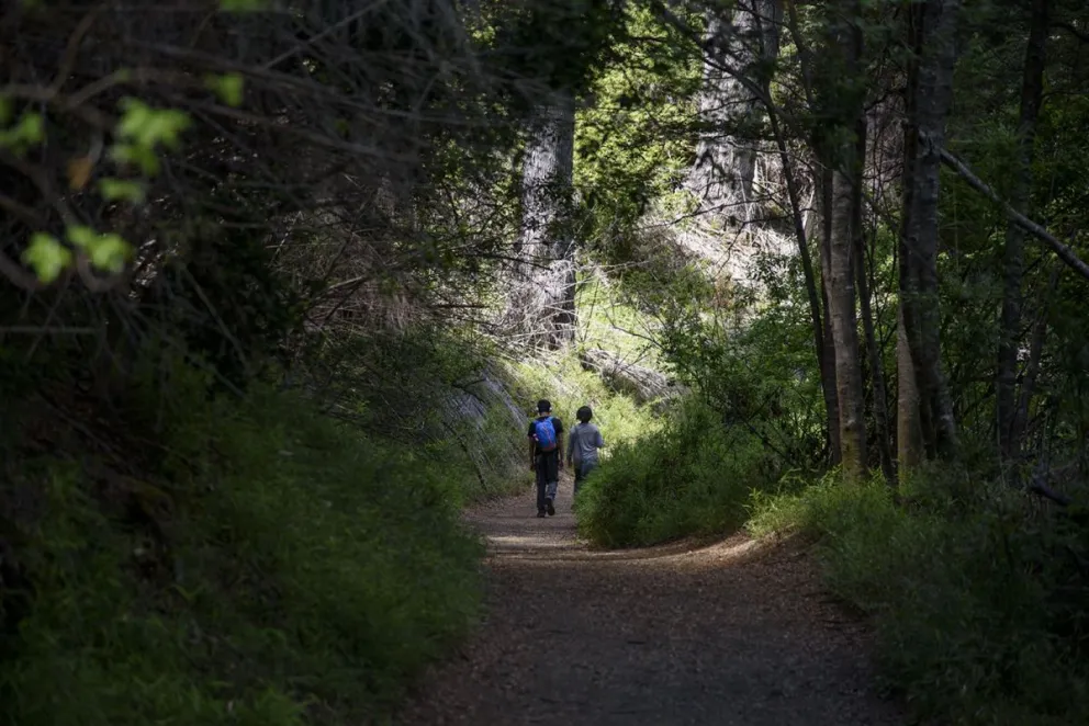Reabre el Parque Nacional: Recomendaciones para salidas a áreas naturales 