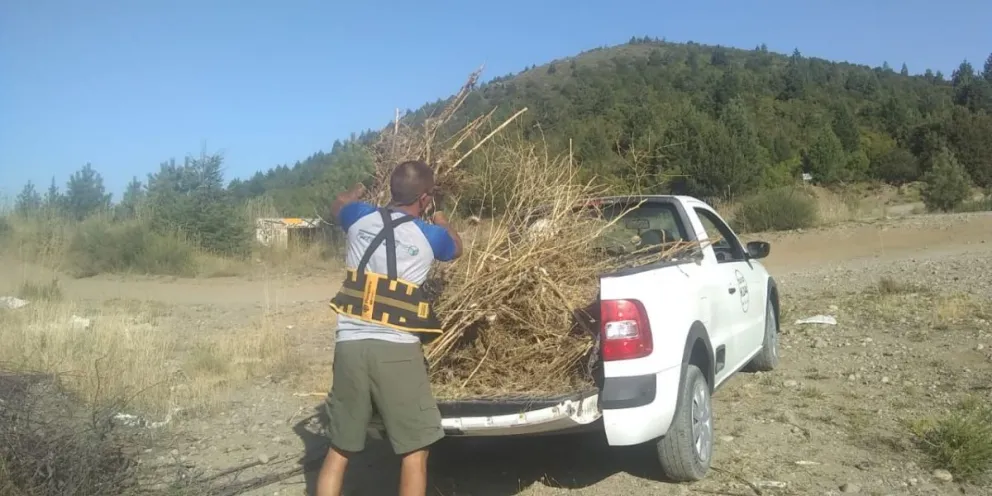 El hombre que arrojó basura en Circunvalación pidió perdón y juntó los residuos