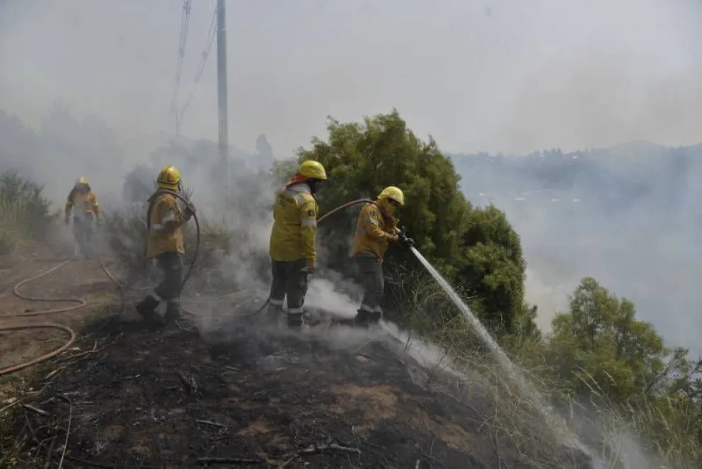 Altas temperaturas: Qué debemos tener en cuenta para evitar incendios forestales