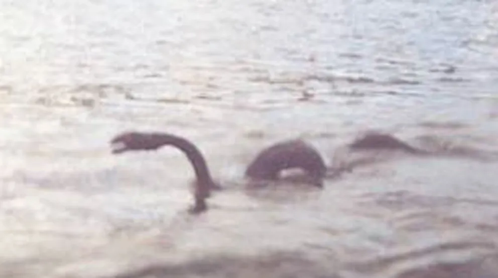 [Mirá el video] ¿Qué navega en el Nahuel Huapi?