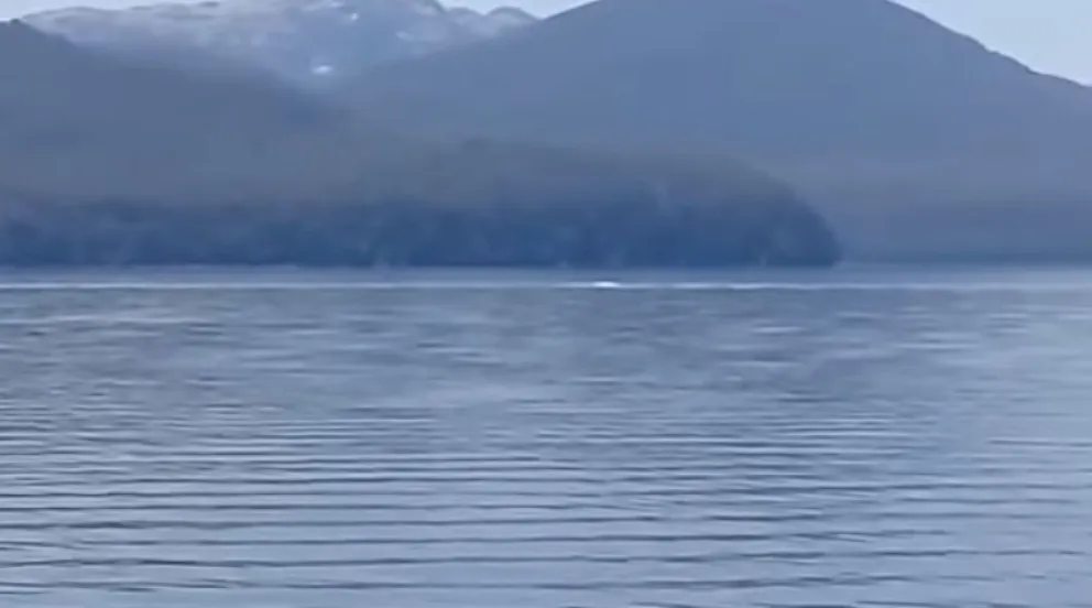 ¿Era el Nahuelito? Revelan qué podría ser la figura filmada en el lago