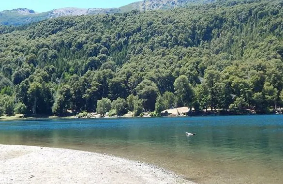 Realizan trabajos de mejora en el camino a lago Steffen