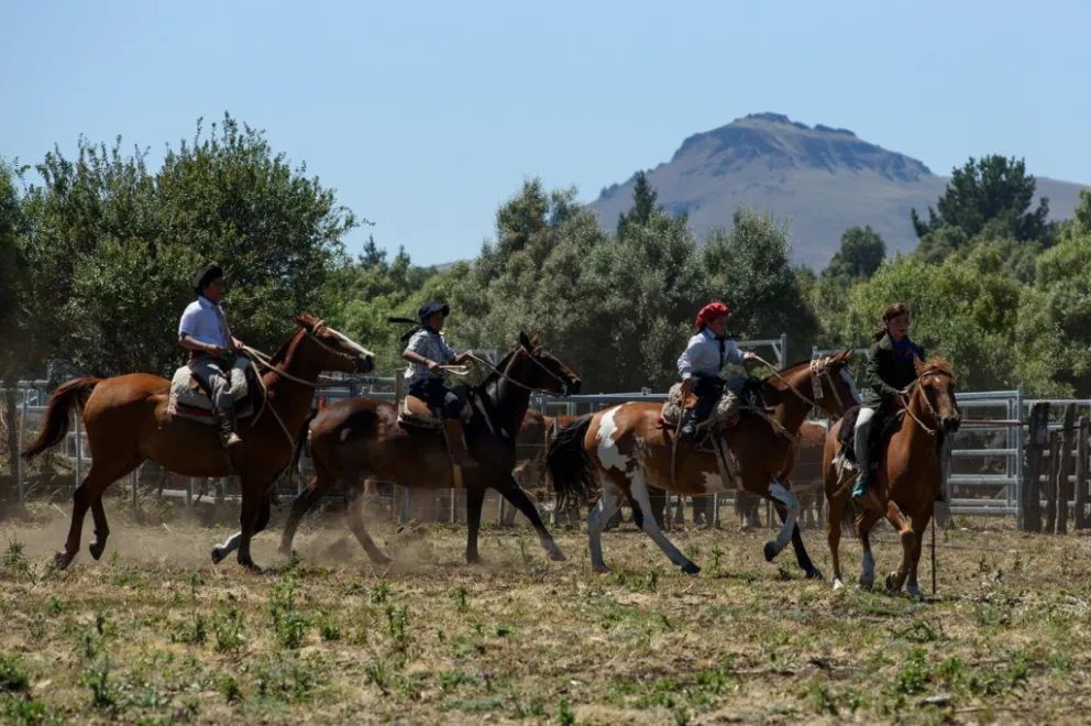Cuenta regresiva para la Expo Rural 2020