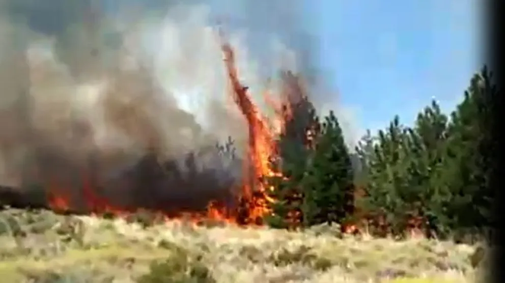 Preocupación por incendio forestal en Ñirihuau