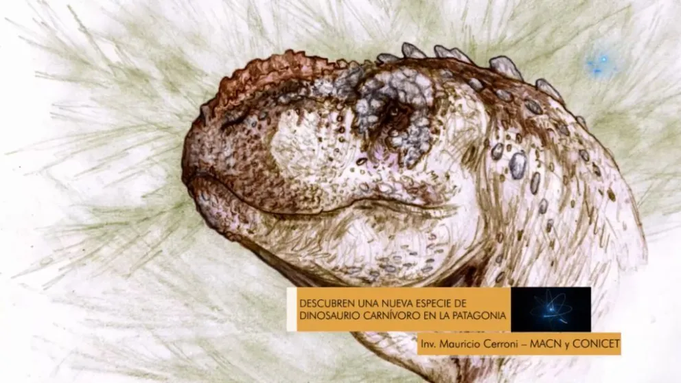 Descubren una nueva especie de dinosaurio que habitó la Patagonia hace 90 millones de años