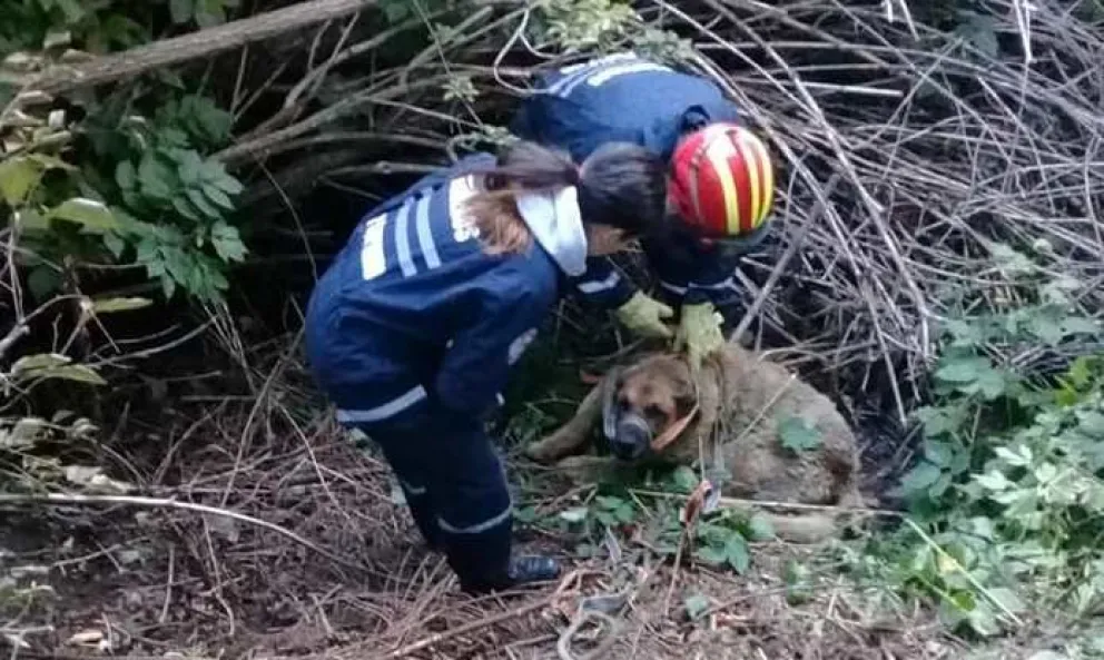 Fotos: Bomberos Campanario.
