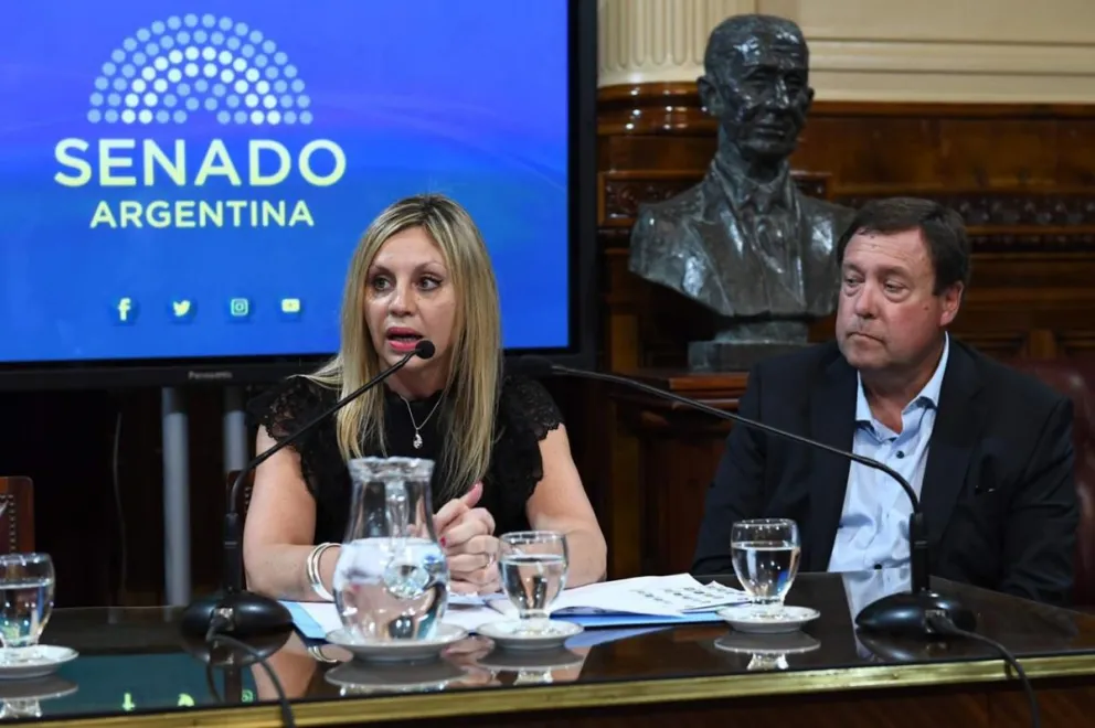 Weretilneck fue nombrado secretario de la comisión de Asuntos Constitucionales del Senado