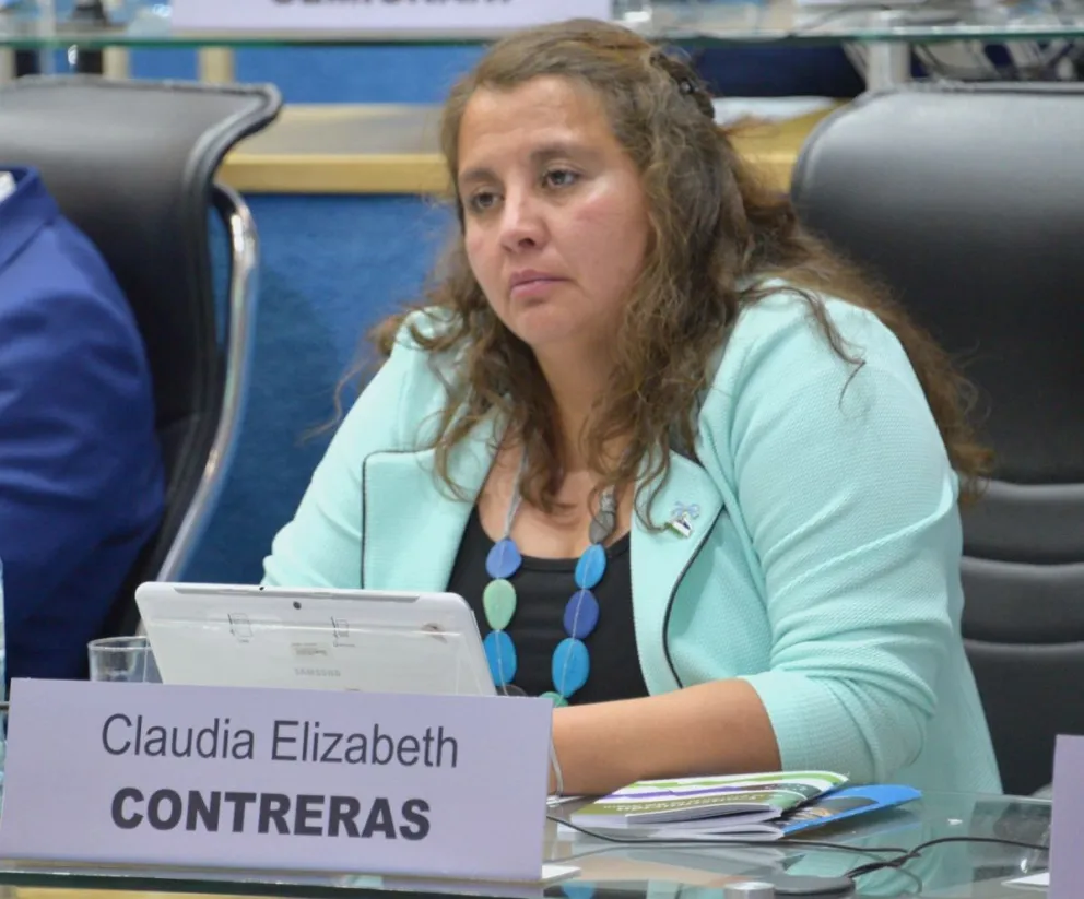 Contreras: “Aprobamos proyectos importantes y necesarios en este contexto de pandemia”