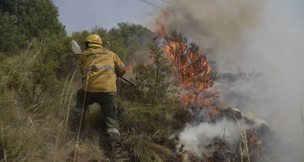 “Más del 90% de los incendios forestales en Bariloche son intencionales”