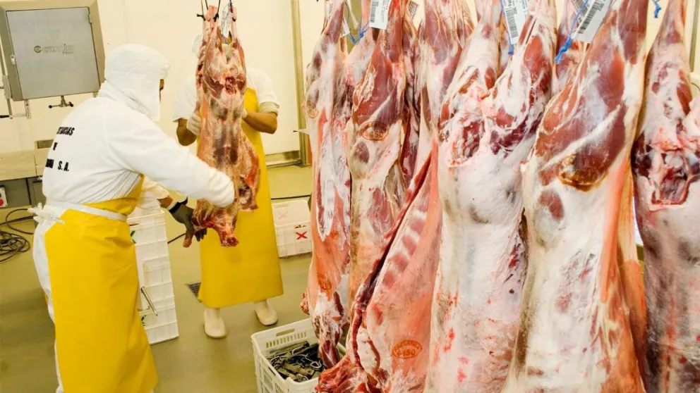 La carne ovina patagónica se venderá en China