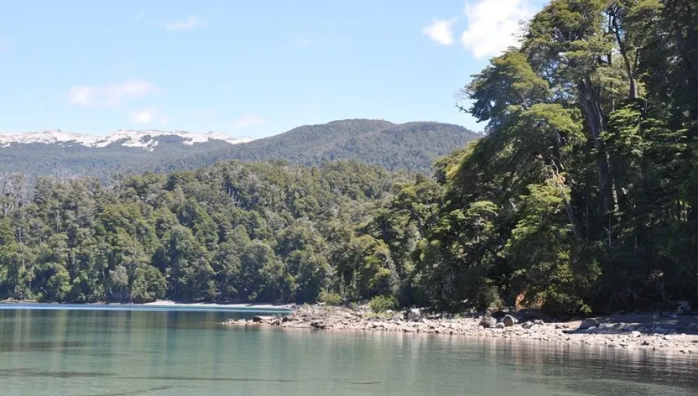 Cuatreros faenaron una ternera y se escaparon en un semirrígido por el lago Nahuel Huapi