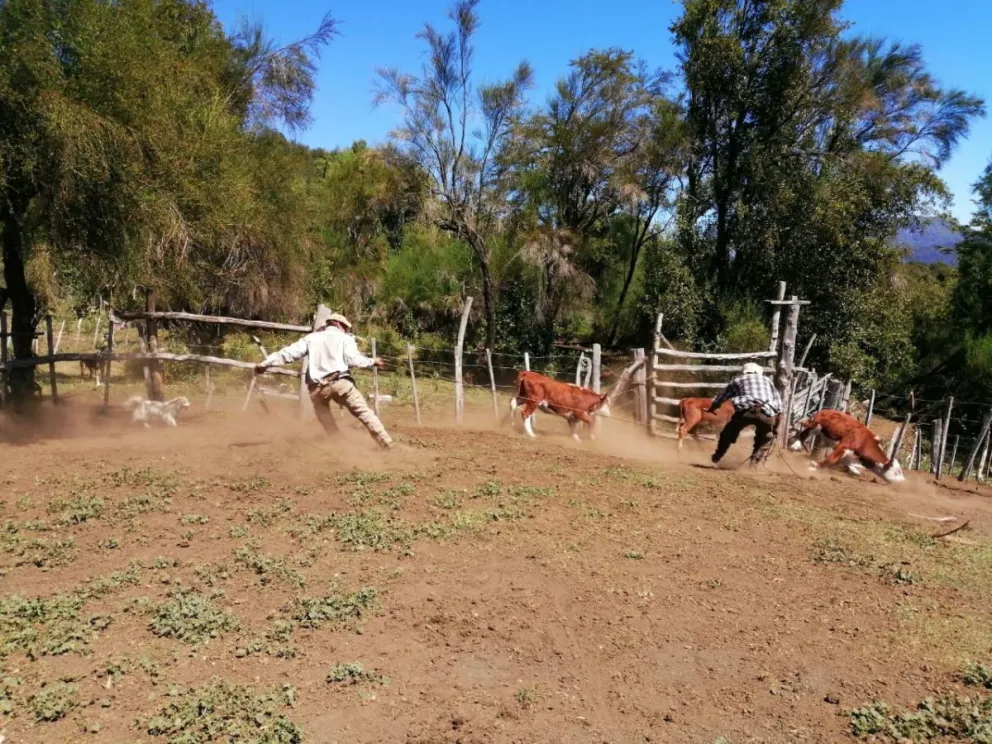 Trabajo rural en conjunto con pobladores y Parques Nacionales