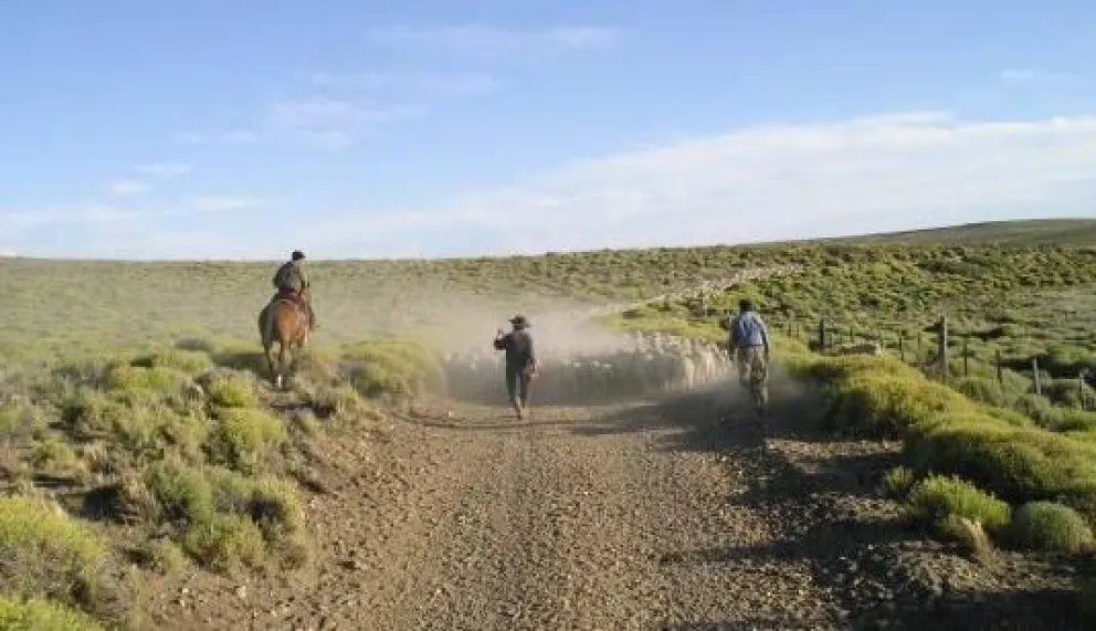 La Sociedad Rural Bariloche expresó su repudio por el robo de ganado en el INTA