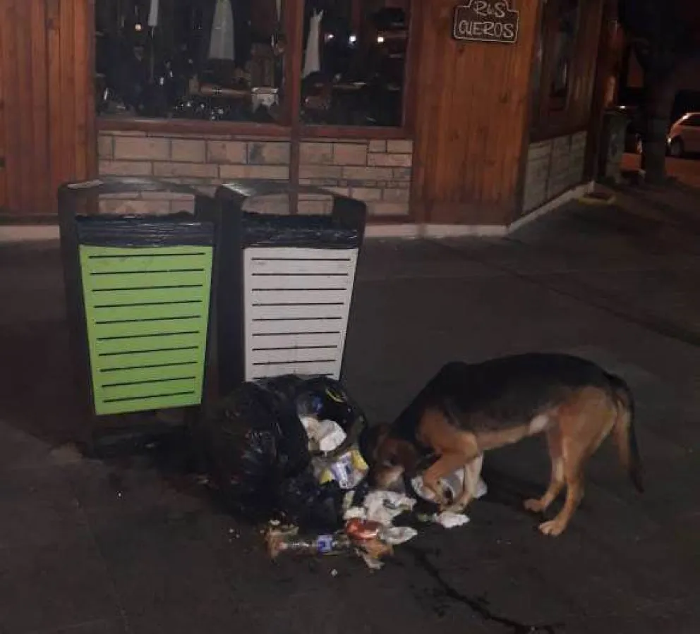 [Notifoto] En Mitre siguen arrojando la basura por fuera de los contenedores