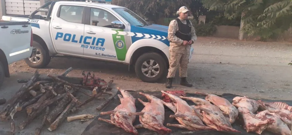 Detenidos por transportar ilegalmente animales faenados