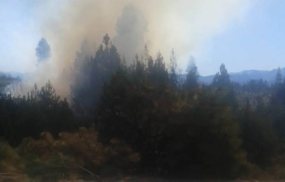 Ahora: Nuevo incendio en la zona de circunvalación