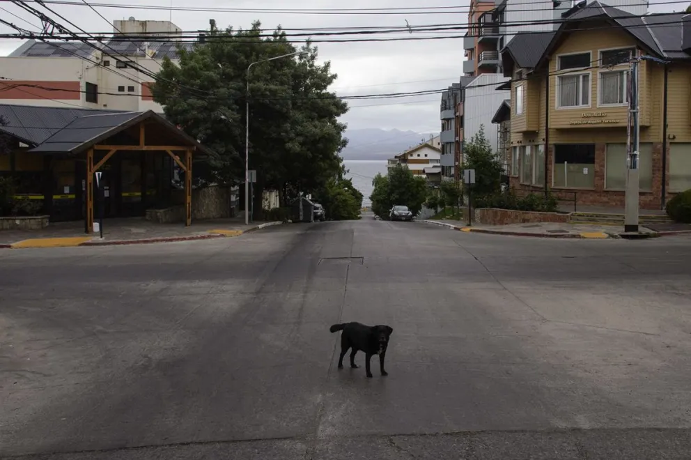 Este martes comienza el quinto día de cuarentena obligatoria.