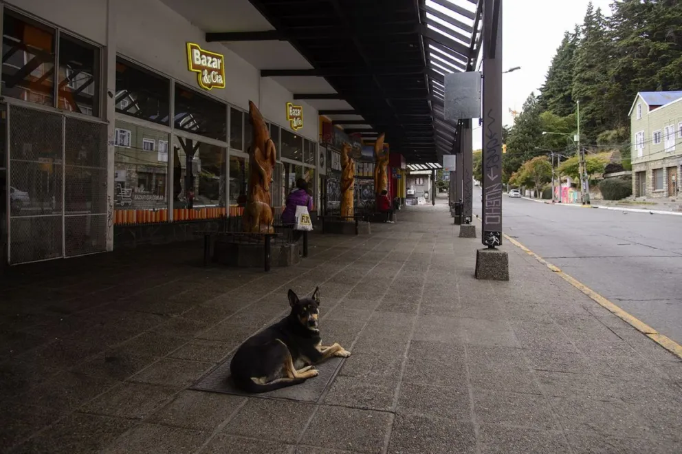 Choferes de Mi Bus endurecen las medidas