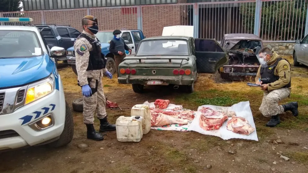 Trasladaban una vaca faenada de manera clandestina