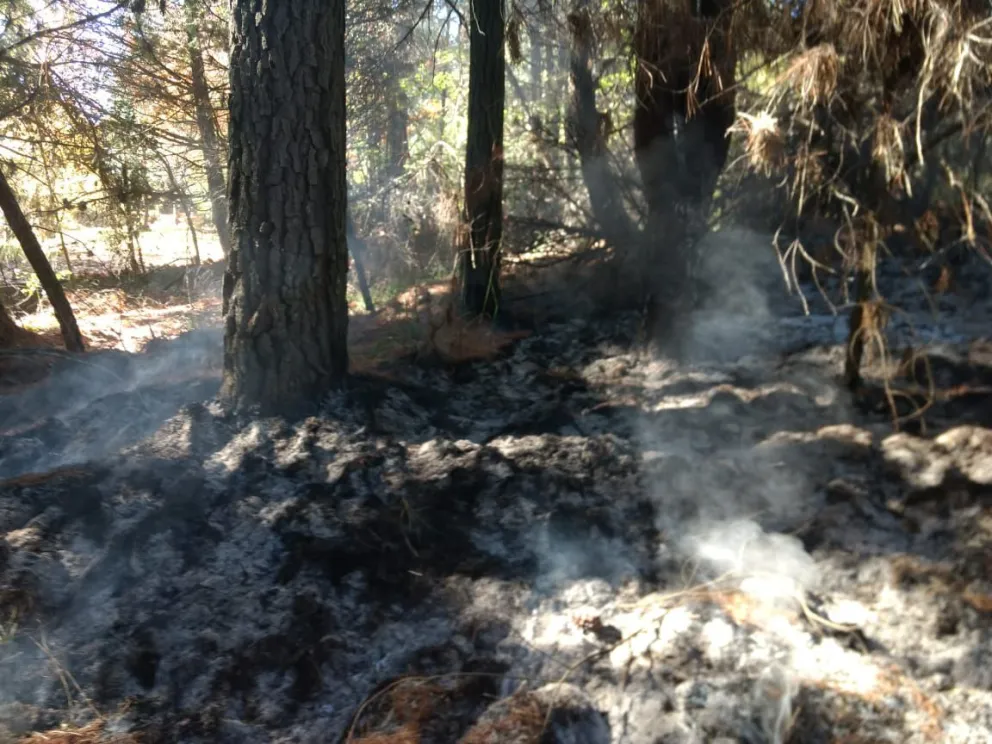 El Bolsón: Investigan incendio intencional en una chacra privada