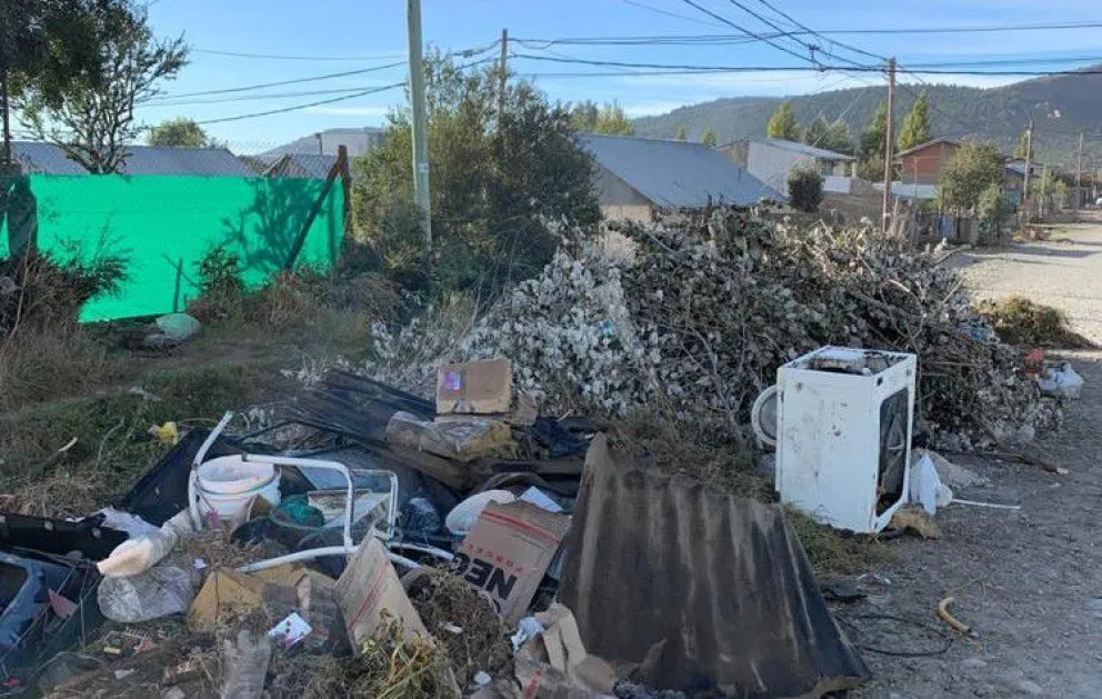 Piden a los vecinos no sacar residuos de gran porte