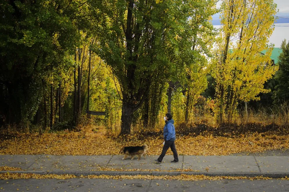 Fotogalería: Bariloche y sus colores de otoño