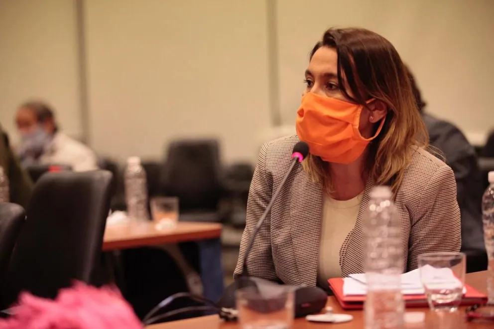 Matzen pide refuerzo sanitario al Ejecutivo nacional