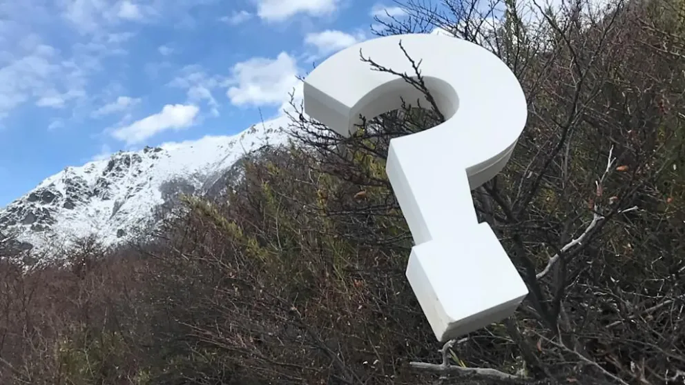 “¿Sabías qué…?”: La producción del Conicet que revela curiosidades de la zona