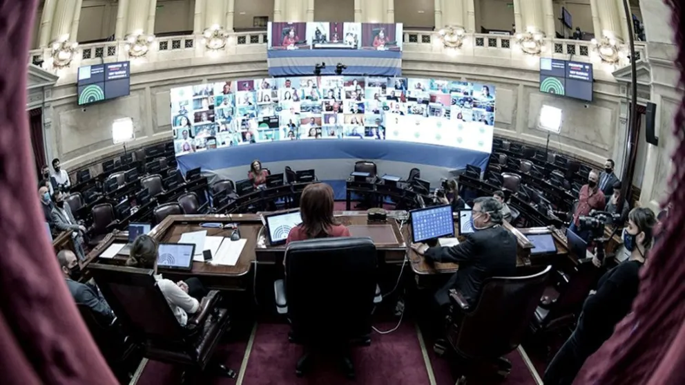 Cómo es la primera sesión virtual en la historia del Senado