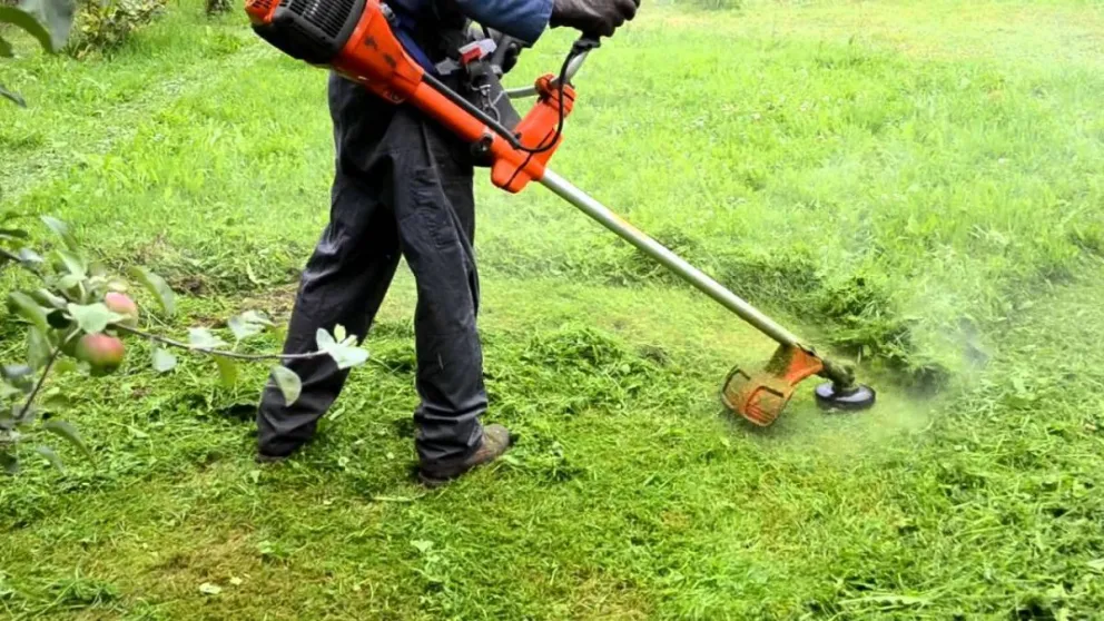 Quieren establecer un protocolo especial para jardineros y parquistas