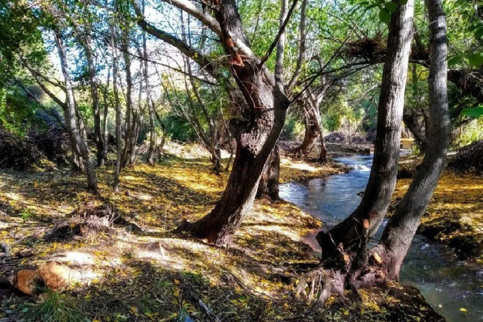 Mejoraron el cauce del arroyo Gutiérrez
