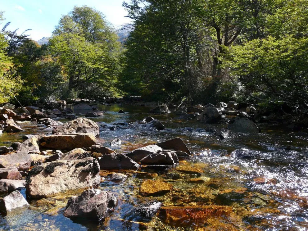 Vecinos de los barrios Jockey Club y Lago Moreno exigen una solución al problema del agua 