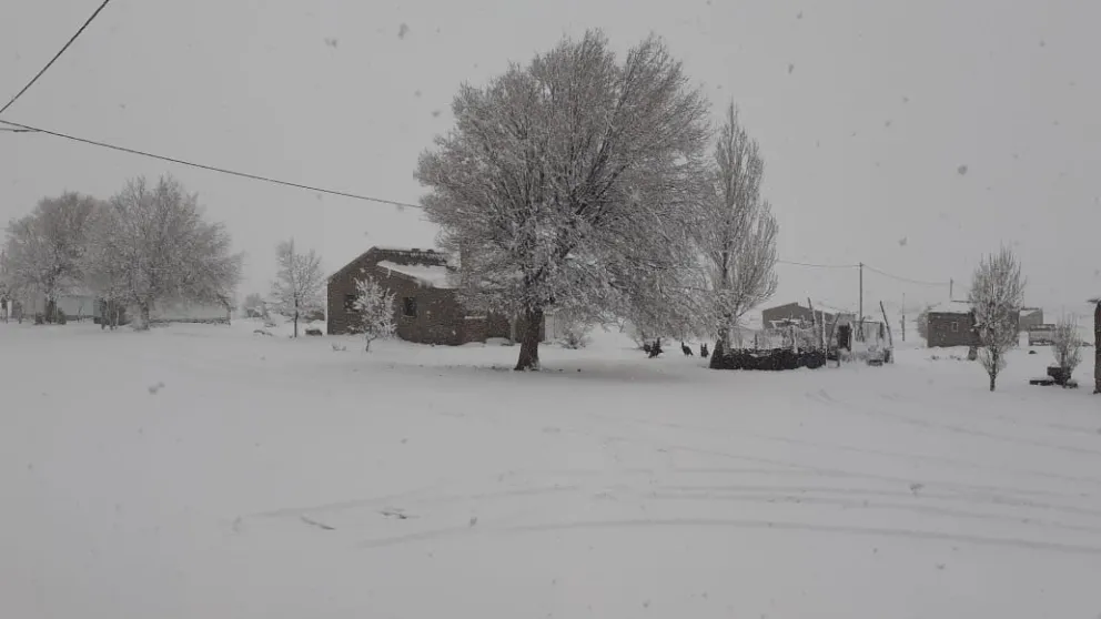 [FOTOS] La nieve pintó de blanco la Línea Sur rionegrina
