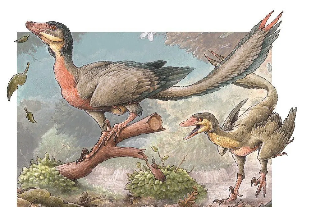 Conocé cómo era el dinosaurio con alas descubierto en Río Negro