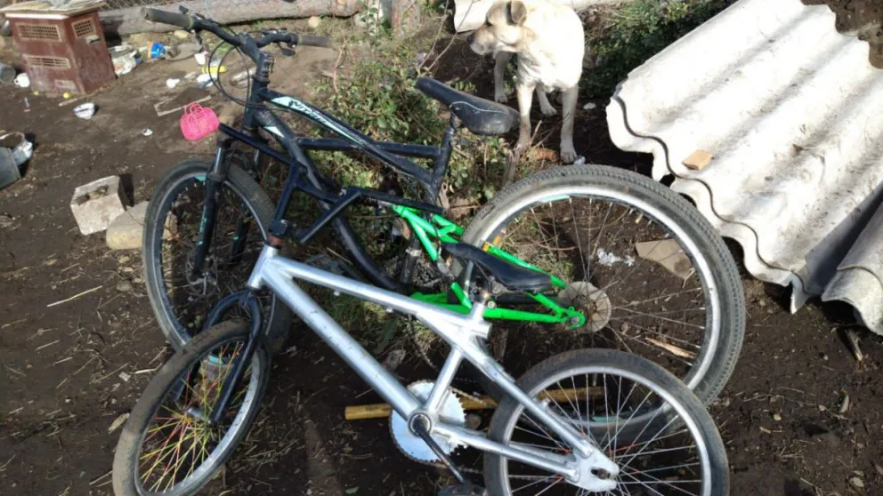 Le robaron dos bicicletas y las vendían por internet