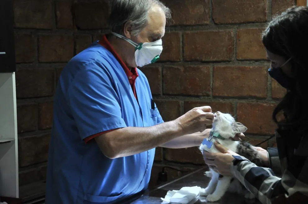 Jornada de vacunación y desparasitación gratuita