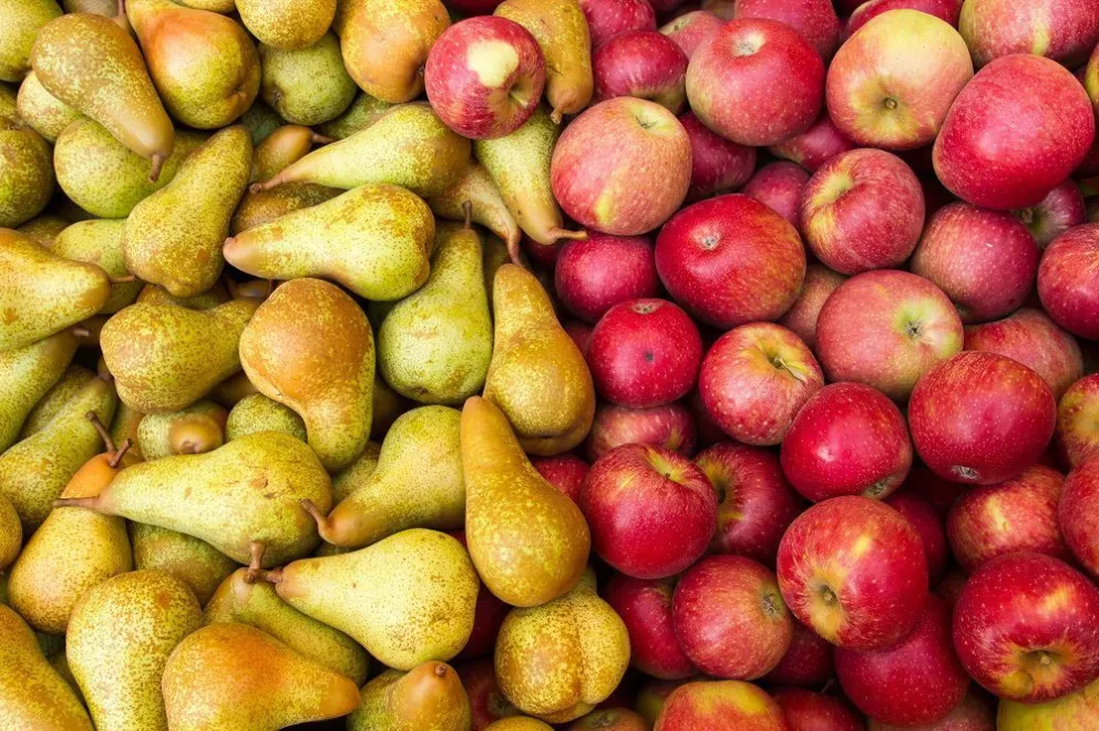 Entrega de frutas y verduras a los estudiantes rionegrinos