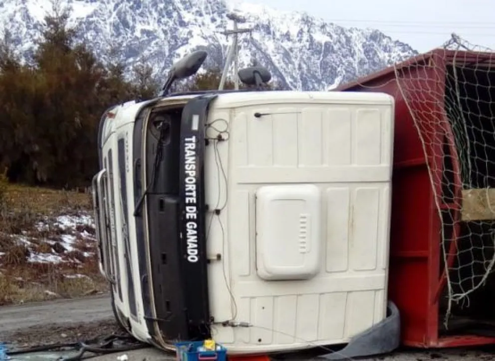 Ruta 40: Volcó un camión que transportaba ganado