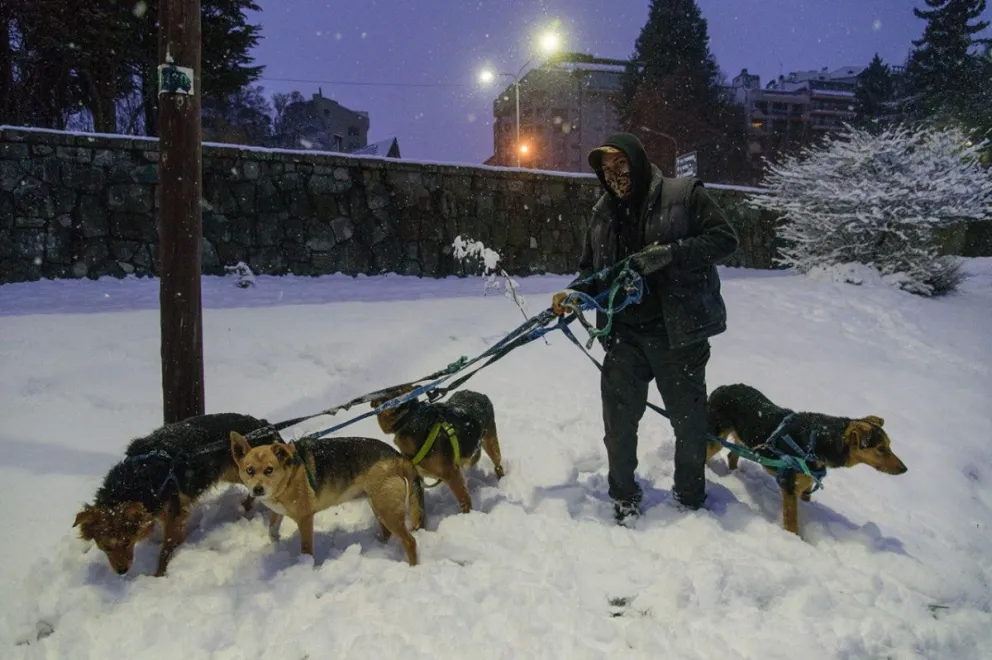 Las primeras nevadas del invierno cayeron en cuarentena. 