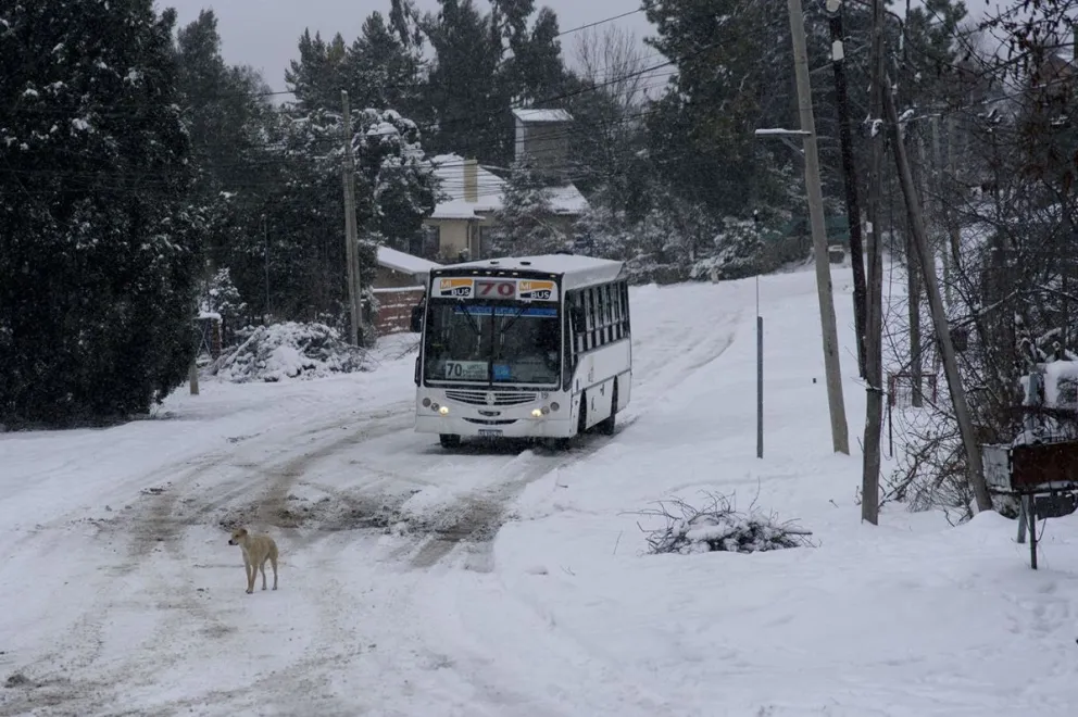 El paro de colectivos se levanta y esperan novedades