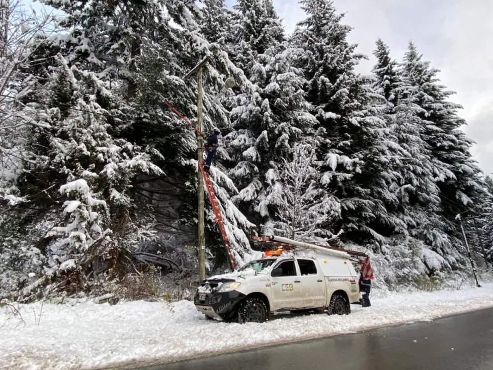 La nieve provocó caída de ramas y árboles