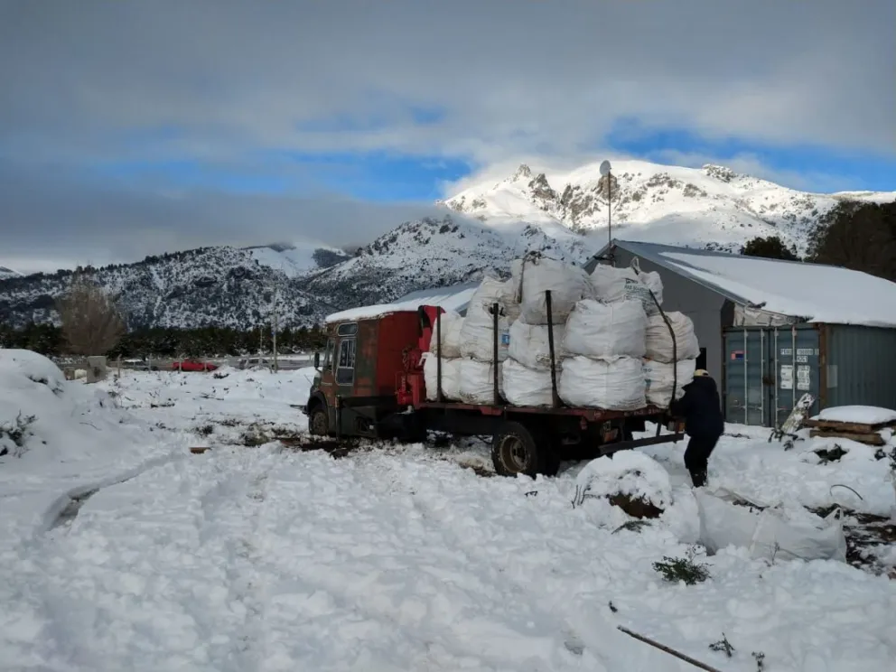 El grupo Ecoforestal entregó una primera carga de leña al Plan Calor