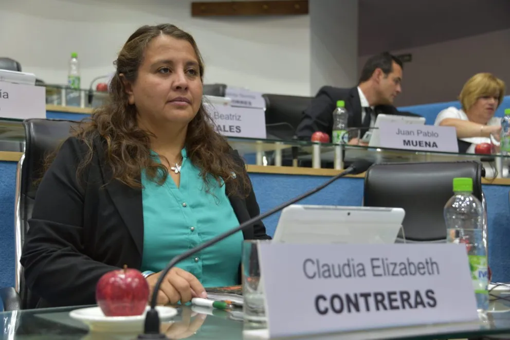 Presentan un proyecto para incorporar la enseñanza del cuidado de perros y gatos