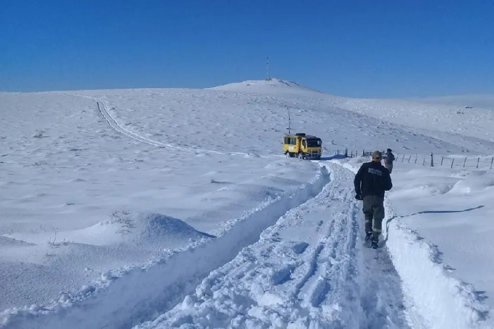 Podrían declarar la emergencia agropecuaria por las intensas nevadas