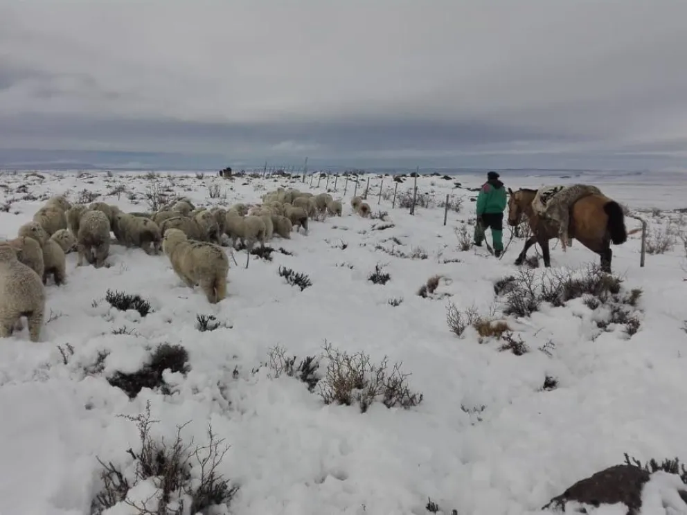 Paso a paso: cómo fueron los operativos de la Provincia durante la emergencia climática