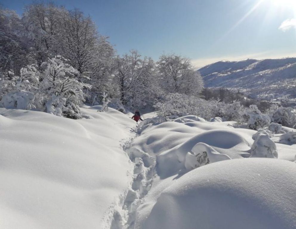 Parques pide precaución al circular por anuncio de fuertes nevadas